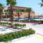 commercial-landscape-architecture