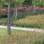 landscape-master-planning