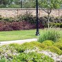 landscape-design-HOME